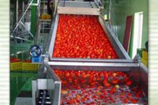sell all kinds of fruit puree