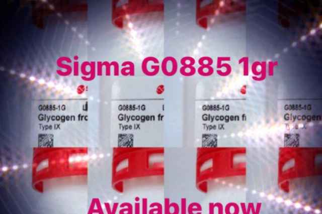 گليگوژن  g0885 1gr   سيگما