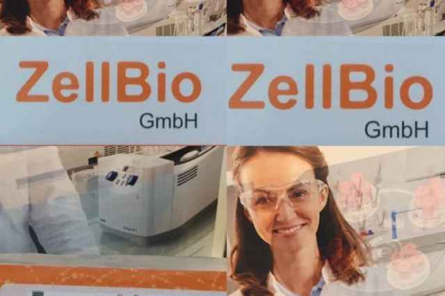 كيت الايزا human Nt-pro bnp elisa kit  zell bio