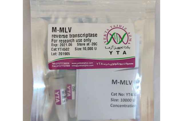 فروش آنزيم MMLV Reverse Transcriptase) MMLV)