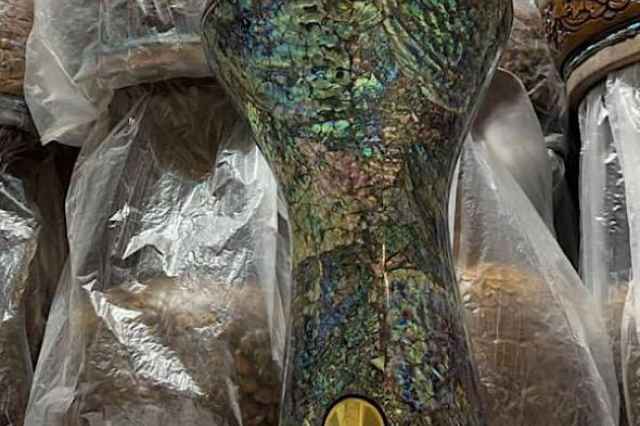 تمپو جوهرالفن سه لبه 24 رنگ صدف اصل مصري