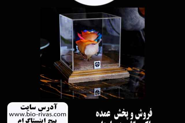 فروش باكس گل رز جاودان با بهترين قيمت در تهران