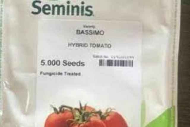 بذر گوجه فرنگي باسيمو