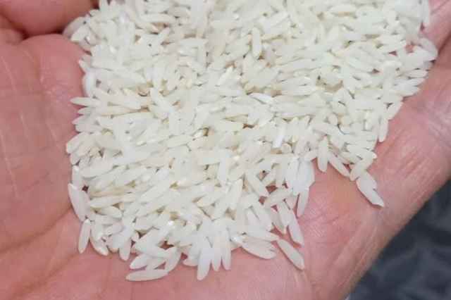 برنج هاشمي بوجار شده كشت اول و كشت دوم