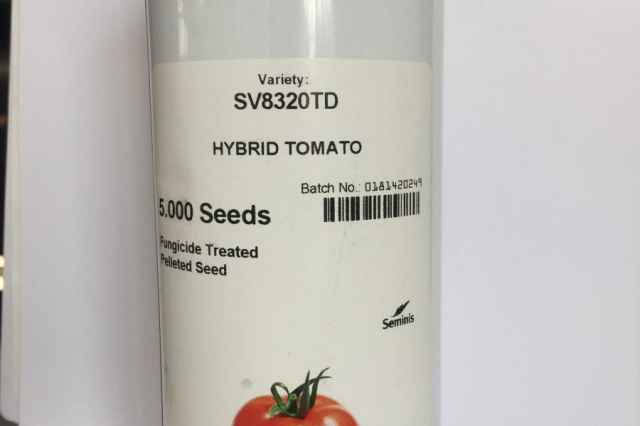 فروش بذر گوجه  سمينيس 8320