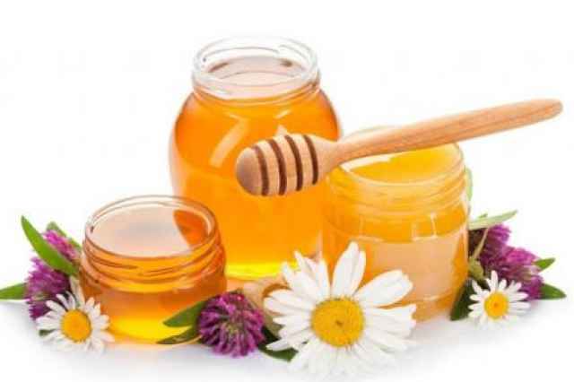 فروشندگان عمده عسل طبيعي خالص