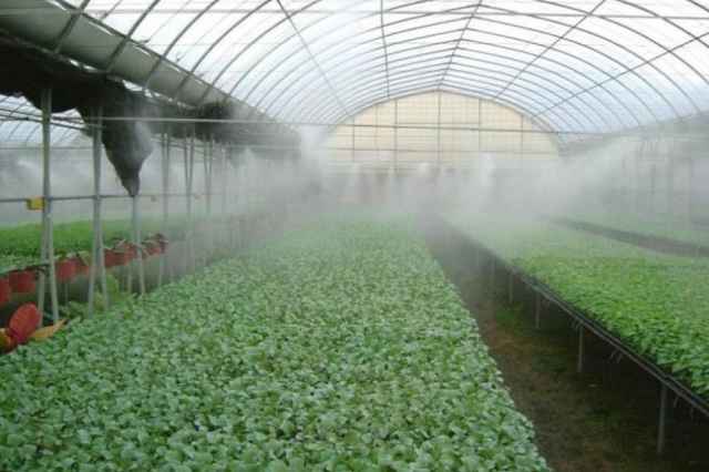 دستگاه مه ساز گلخانه اي.09190107631