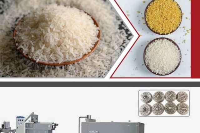 فروش خط توليد برنج مصنوعي