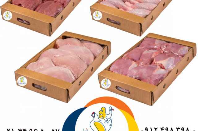 صادرات انواع گوشت طيور سابين تجارت