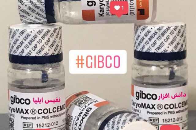فروش كلسمايد ( Colcemid ) برند Gibco