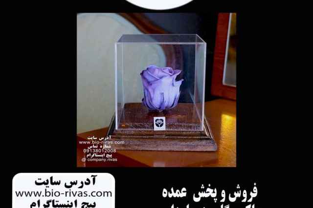 باكس گل رز جاودان در اصفهان