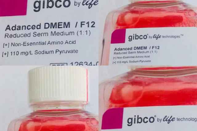 محيط كشت GIBCO  DMEM LOW glucose