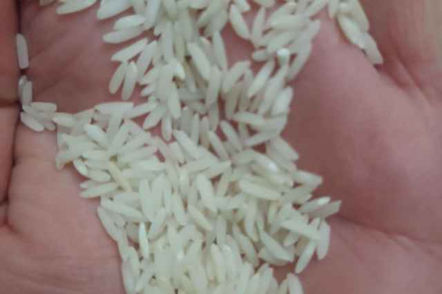 برنج طارم محلي معطر درجه يك
