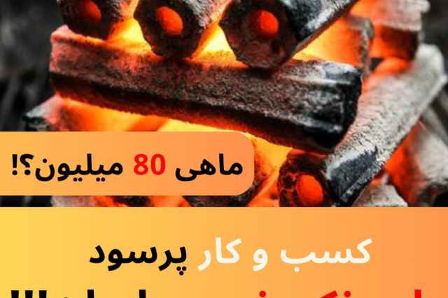 دستگاه توليد زغال راه اندازي كسب و كار پرسود در ايران