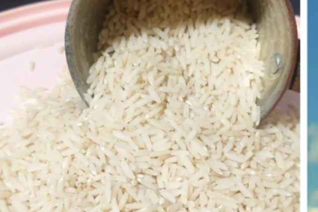 انواع برنج ايراني
